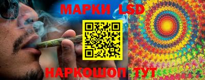дмт Обь