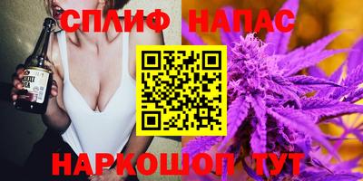 дмт Обь