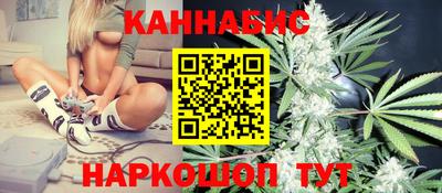 дмт Обь