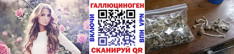 mega ССЫЛКА Саранск Псилоцибиновые грибы MAGIC MUSHROOMS