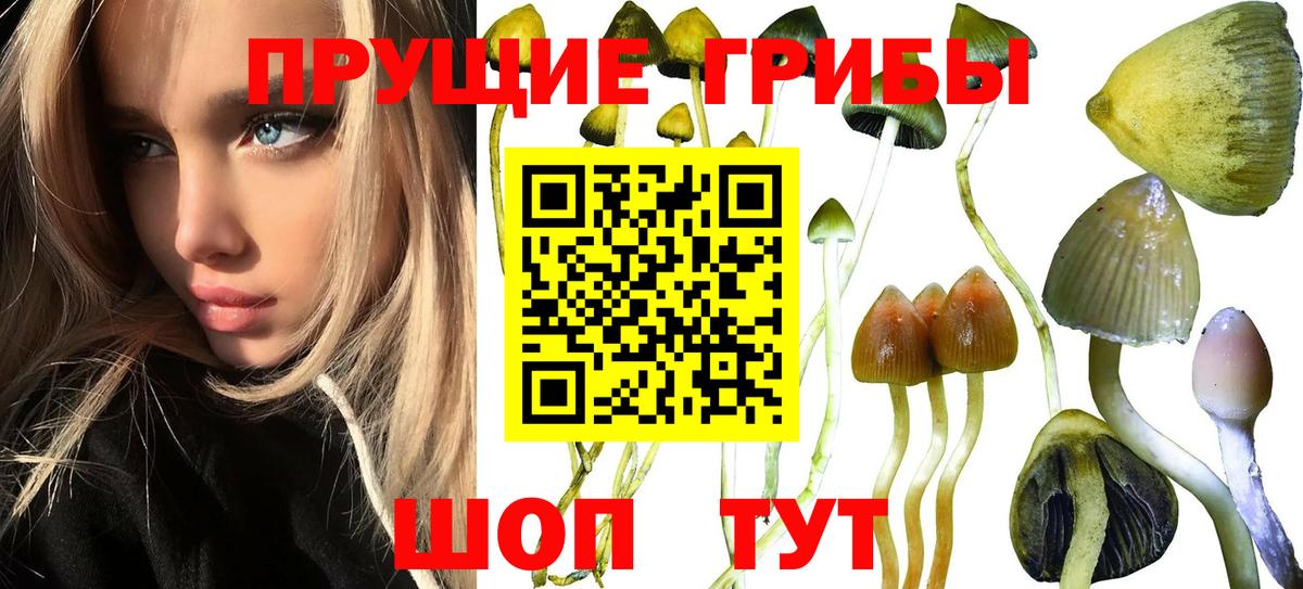 Галлюциногенные грибы мицелий  Псилоцибиновые грибы прущие грибы  Саранск  Вход с VPN 
