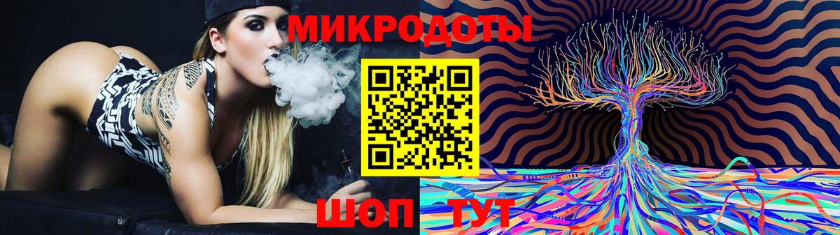 Псилоцибиновые грибы Psilocybine cubensis Саранск